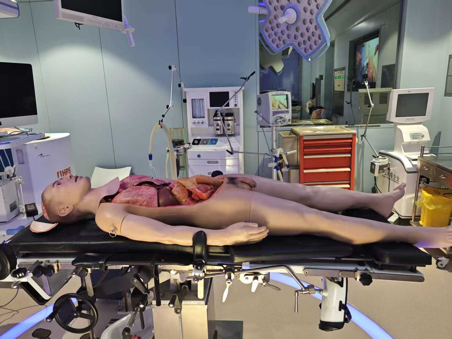 Laparotomy & Thoracotomy Damage Control Simulator