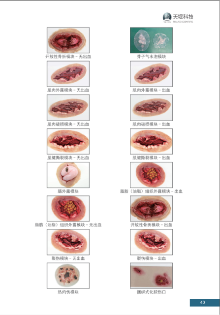 高级急救及手术模拟人
